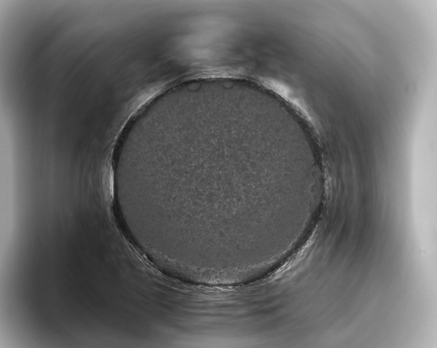 X0000096481221200801241438