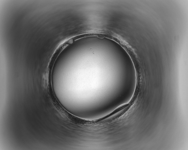 X0000096481222200801241438