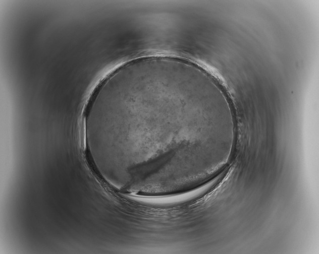 X0000096481223200801241438