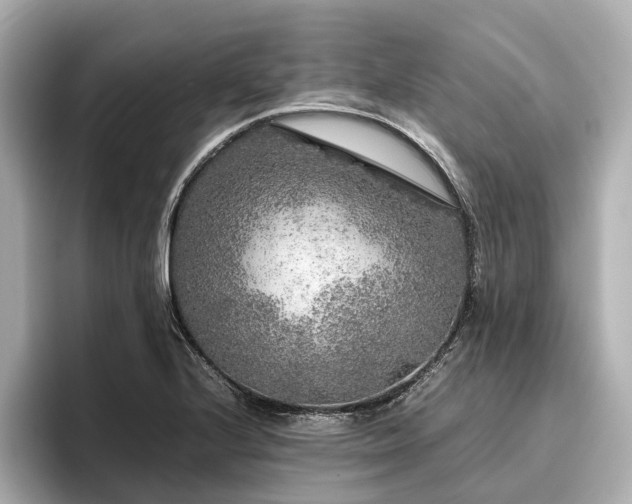 X0000096481224200801241438