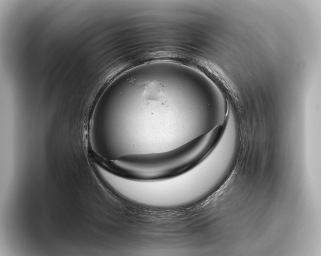 X0000096481225200801241438