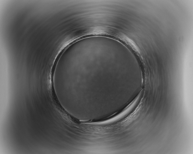 X0000096481226200801241438