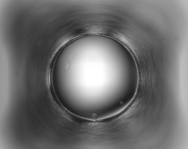 X0000096481227200801241438