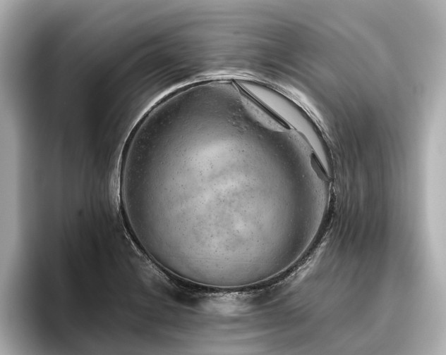 X0000096481228200801241438