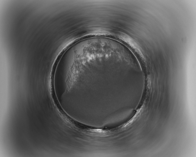 X0000096481229200801241438