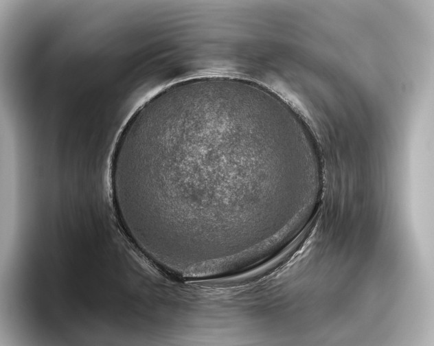 X0000096481230200801241438