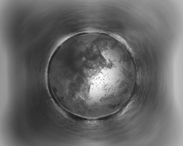 X0000096481231200801241438