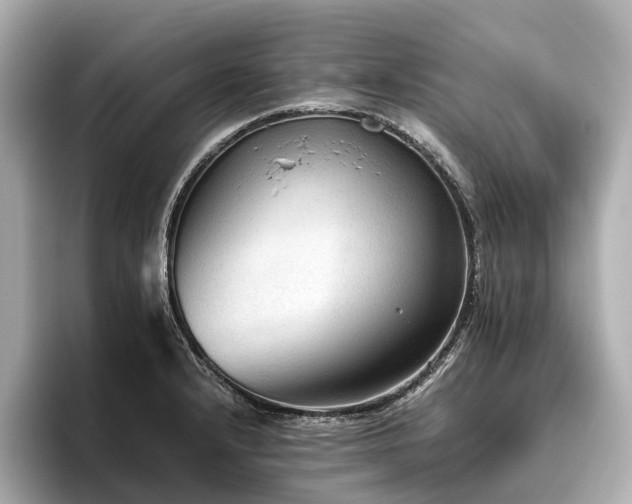 X0000096481232200801241438