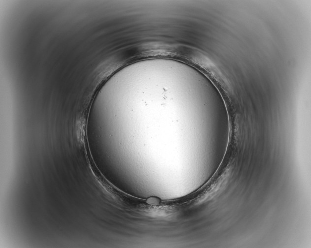 X0000096481233200801241438