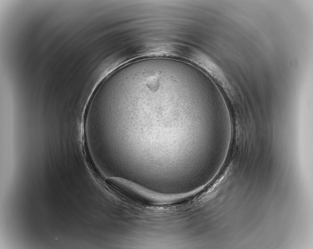 X0000096481234200801241438