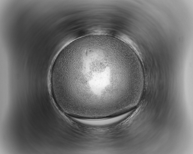 X0000096481235200801241438