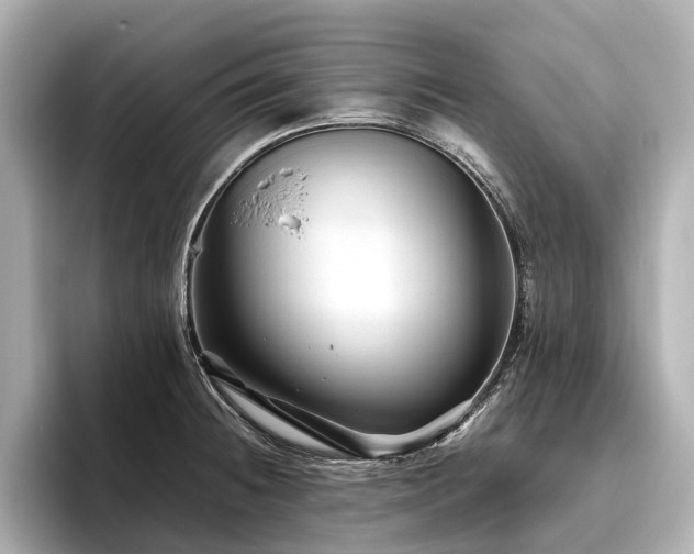 X0000096481236200801241438