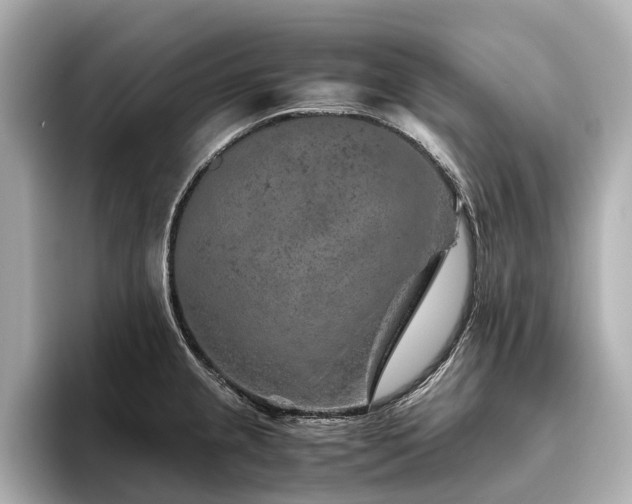 X0000096481237200801241438