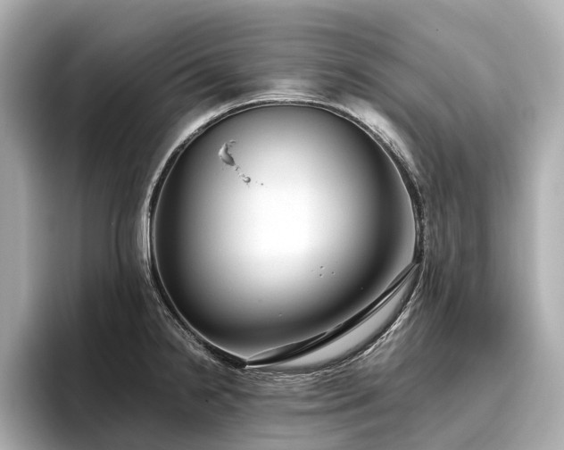 X0000096481238200801241438