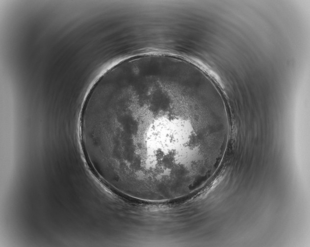 X0000096481239200801241438