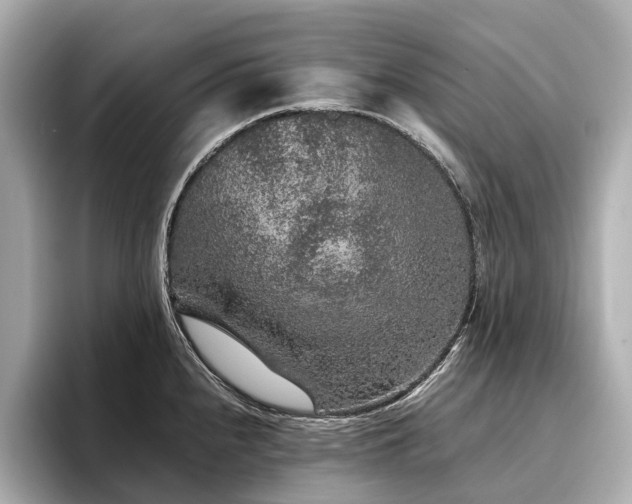 X0000096481240200801241438