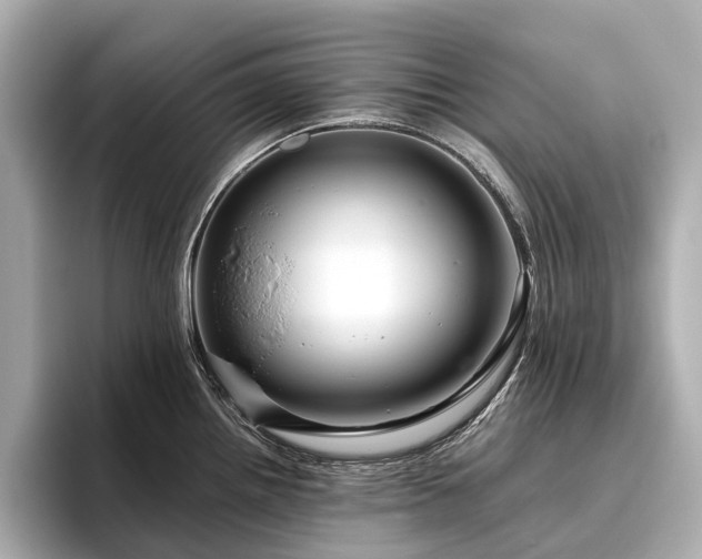 X0000096481242200801241438