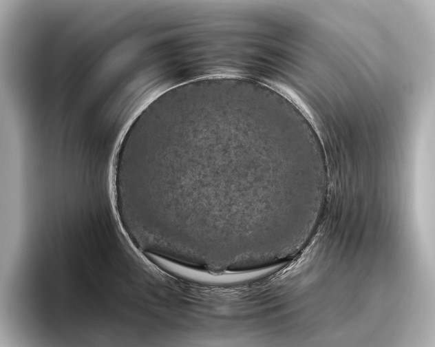 X0000096481243200801241438