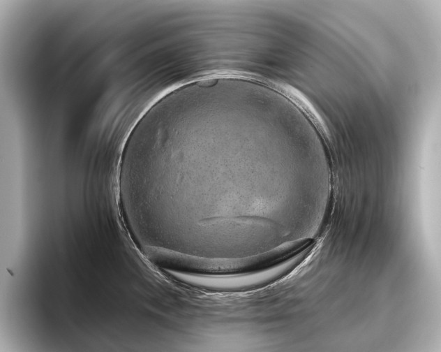 X0000096481244200801241438