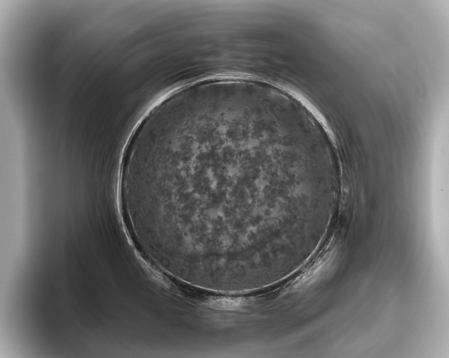 X0000096481245200801241438