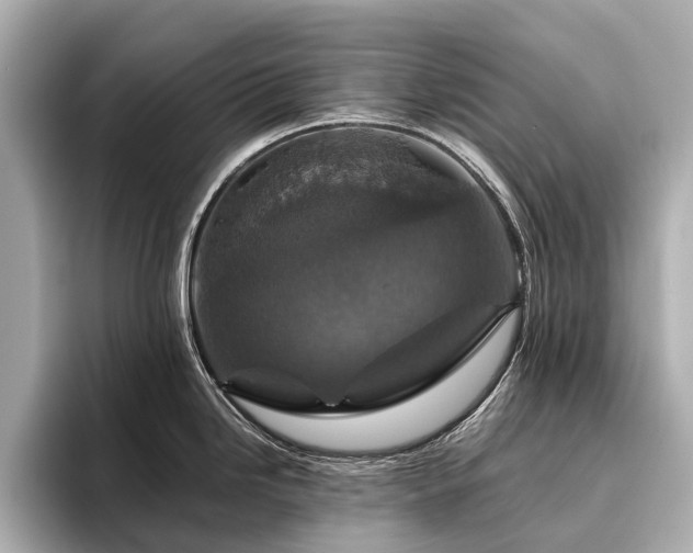 X0000096481246200801241438