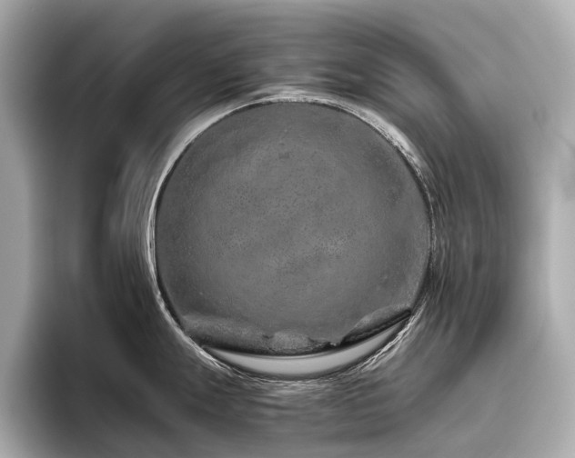 X0000096481247200801241438