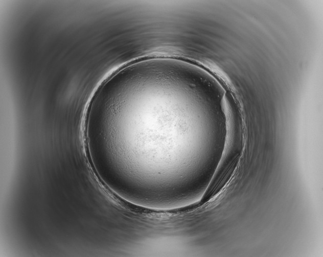 X0000096481248200801241438