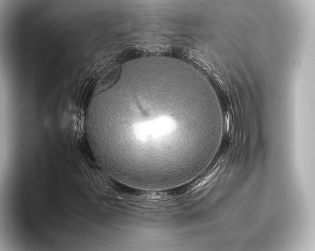 X0000096481251200801241437