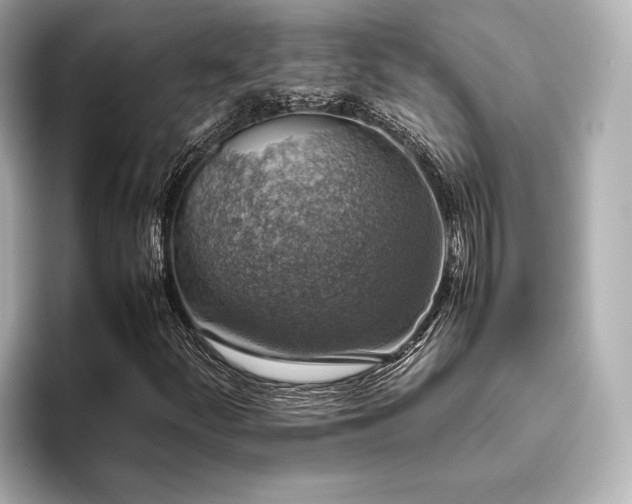 X0000096481252200801241437