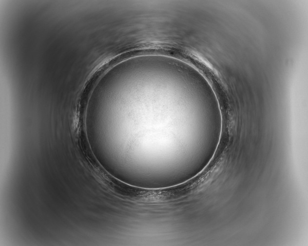 X0000096481259200801241437