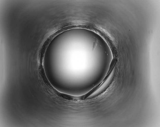 X0000096481261200801241437