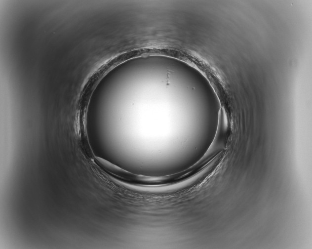 X0000096481262200801241437