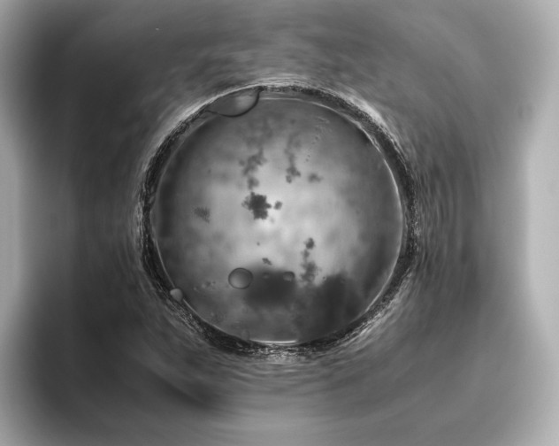 X0000096481263200801241437