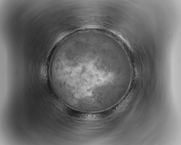 X0000096481266200801241437