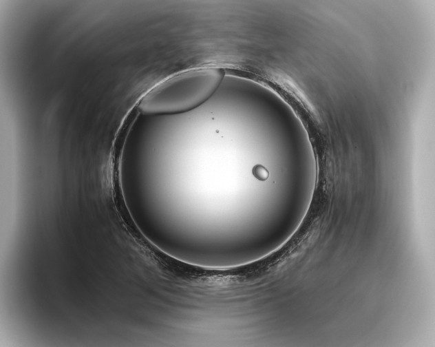 X0000096481268200801241437