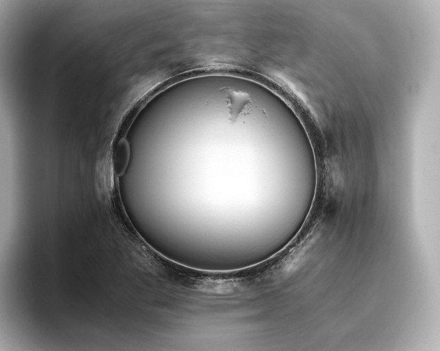 X0000096481269200801241437