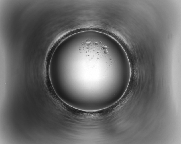 X0000096481270200801241437