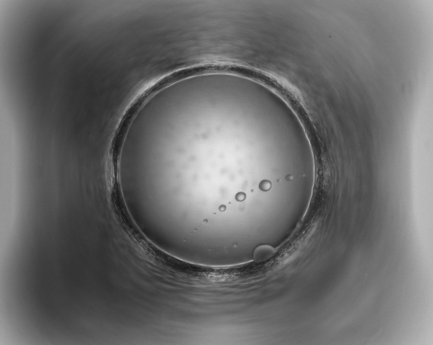 X0000096481271200801241437