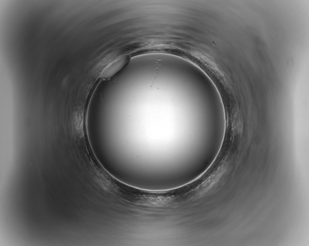 X0000096481273200801241437