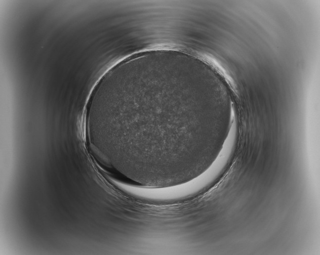 X0000096481276200801241437