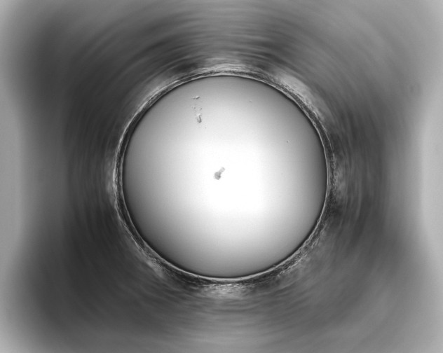 X0000096481282200801241437