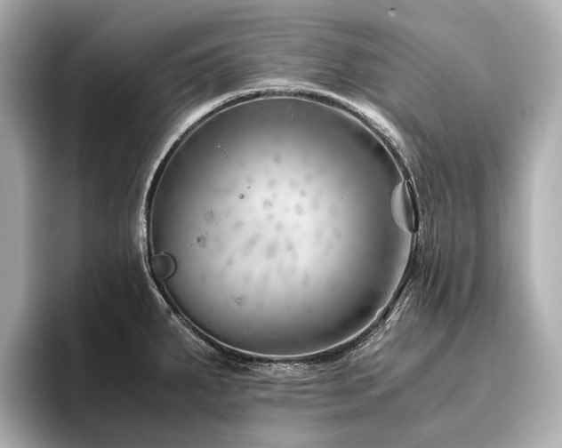 X0000096481287200801241437