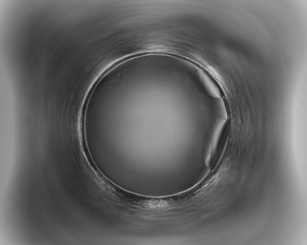 X0000096481291200801241437