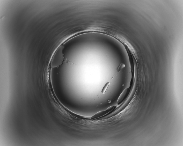 X0000096481292200801241437