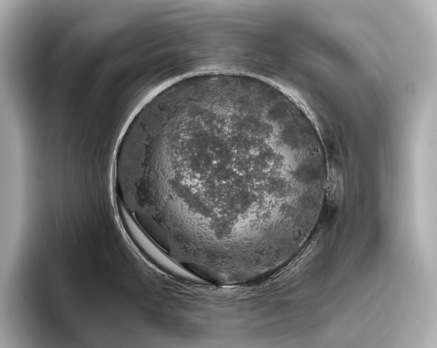 X0000096481295200801241437