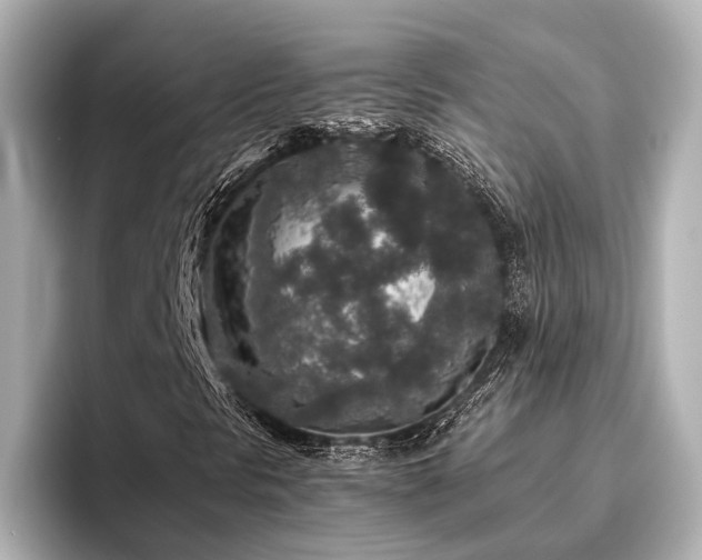 X0000096481297200801241436