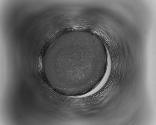 X0000096481298200801241436