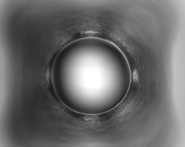 X0000096481299200801241436