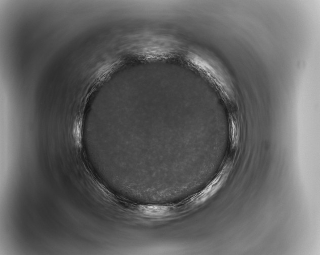 X0000096481300200801241436