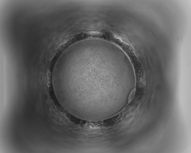 X0000096481301200801241436